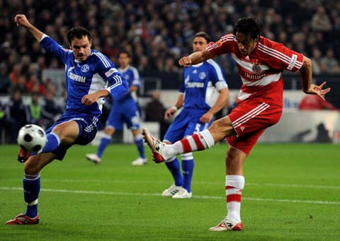 绿军始终坚 绿军始终坚